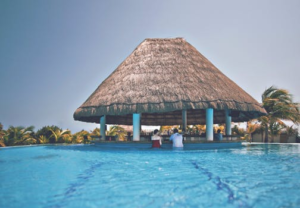 Liquor Liability For Swim Up Bars